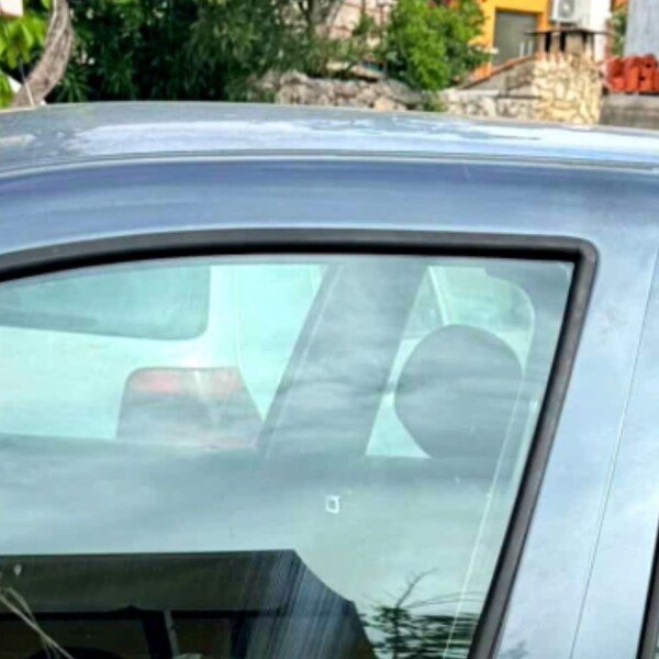 Način na koji je Dalmatinac zaštitio auto od krađe osvojio je publiku