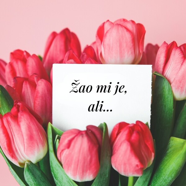 Ovo nije iskrena isprika