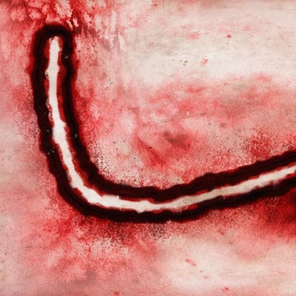 Bundibugyo virus: WHO upozorava na novu prijetnju za koju nema cjepiva, stručnjaci strahuju od širenja