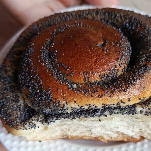 Tko ne smije jesti mak? Jedna skupina posebno riskira ozbiljne posljedice