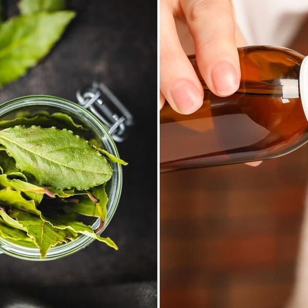 Sirup od lovora protiv kašlja: Jednostavan, ali moćan lijek