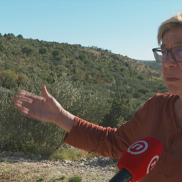 Berače maslina gotovo pogodili lovci: "Letjelo im je iznad glave! Nakon svega su mrtvo hladno..."