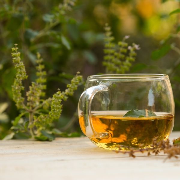 Sveti bosiljak: Čistač jetre i antidepresiv iz vrta koji je osobito omiljen zimi