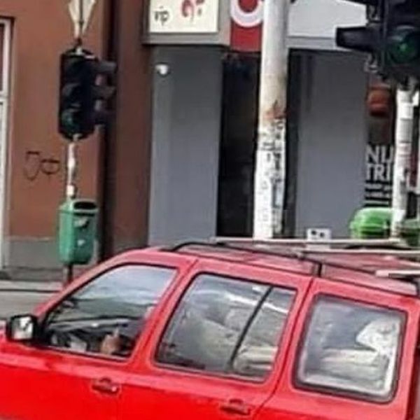 Neki se ozbiljno spremaju za zimu, pogledajte samo ulov ovog Golfa