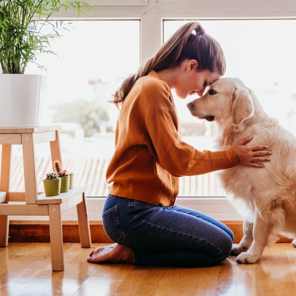 Zašto su psi i njihovi vlasnici toliko slični?