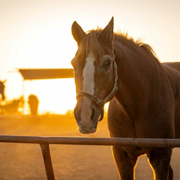 Kviz općeg znanja: 15 pitanja na koja biste trebali odgovoriti točno - bez razmišljanja