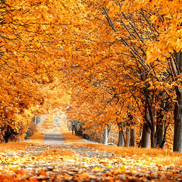 VREMENSKA PROGNOZA - pogledajte kakvo će vrijeme biti idućih dana