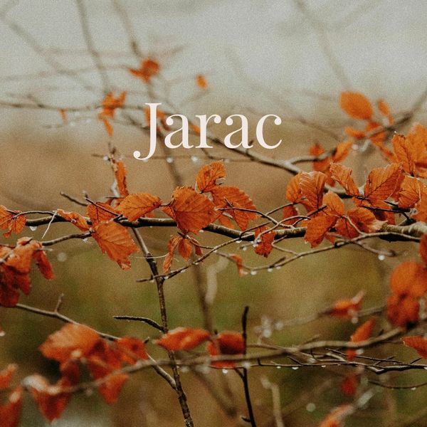 Tjedni horoskop od 3. do 10. studenog - Jarac