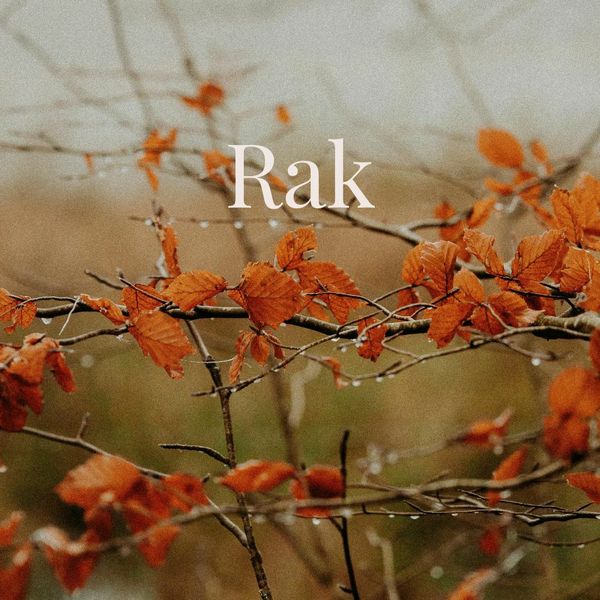 Tjedni horoskop od 10. do 17. studenog - Rak