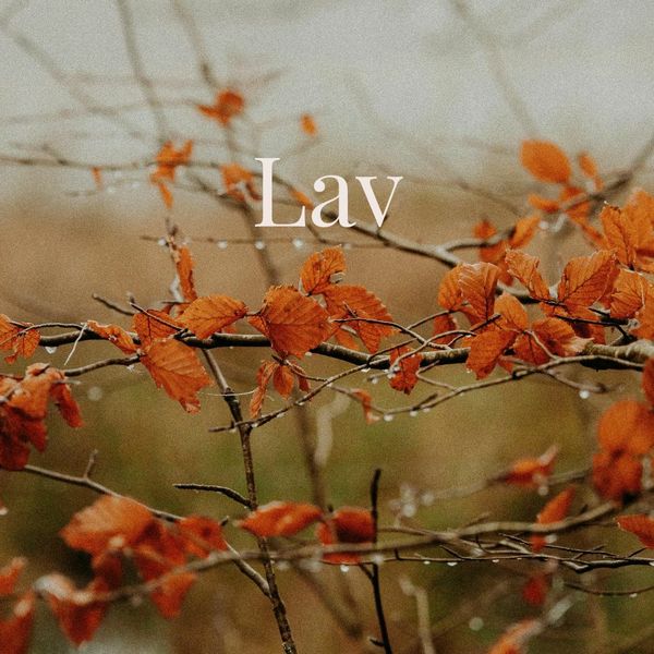 Tjedni horoskop od 10. do 17. studenog - Lav