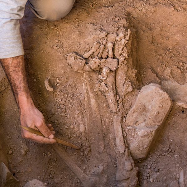 Novo otkriće moglo bi radikalno utjecati na naše razumijevanje ljudske evolucije