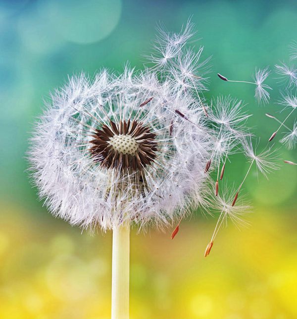 Vizualizirajte bolji život