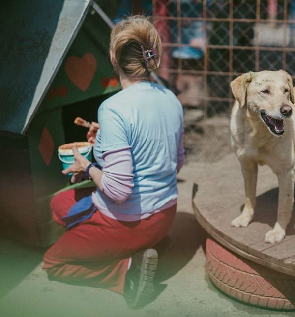 Udruga Pobjede iz Osijeka svake godine organizira proslavu Praznika rada u azilu za pse