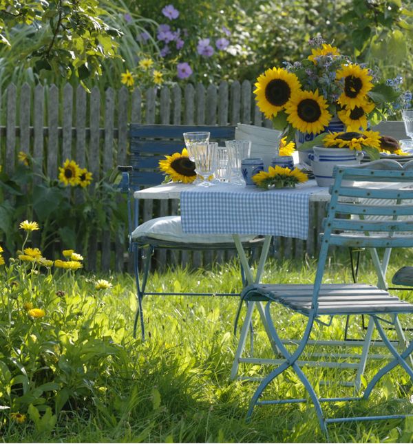 Predivni sukcokreti uvijek privlače pažnju