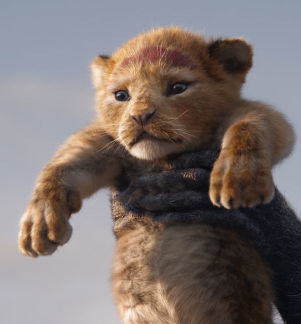 Novi Kralj lavova u kina stiže u srpnju 2019. godine