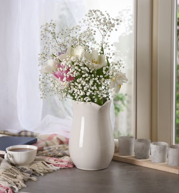 Gipsofila je divan ukras doma