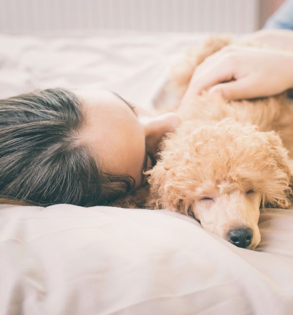 Ponekad je zdravo dijeliti krevet s našim ljubimcem
