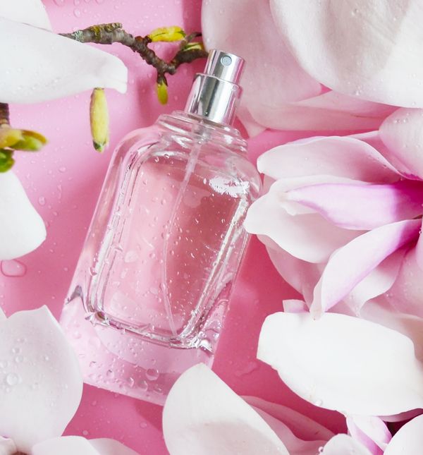 Miris magnolije često se spaja s mirisom jasmina