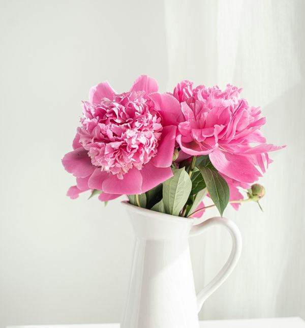 Ljudi koji su okruženi cvijećem društveniji su te su više u kontaktu s drugim ljudima