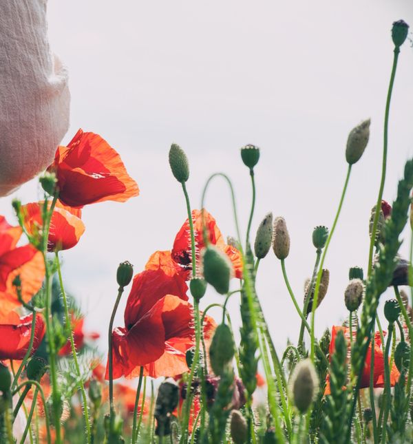 Svibanj bi mogao biti mjesec promjena za vaš horoskopski znak
