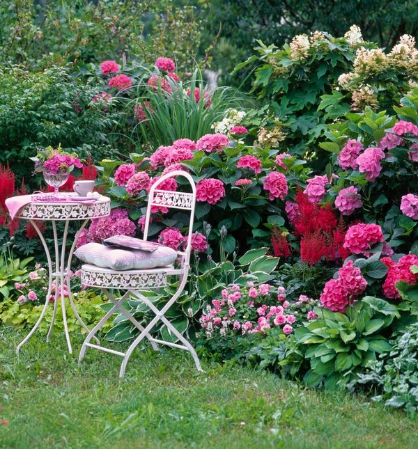 Hortenzija i vodenika se sade u travnju