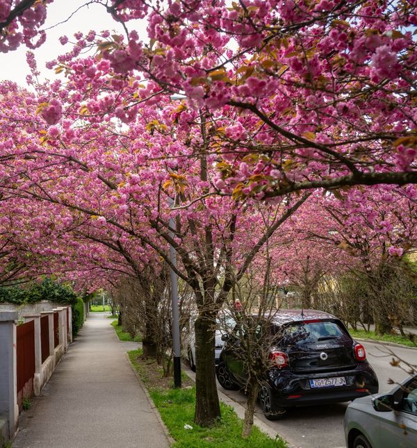 Šulekova ulica u Zagrebu