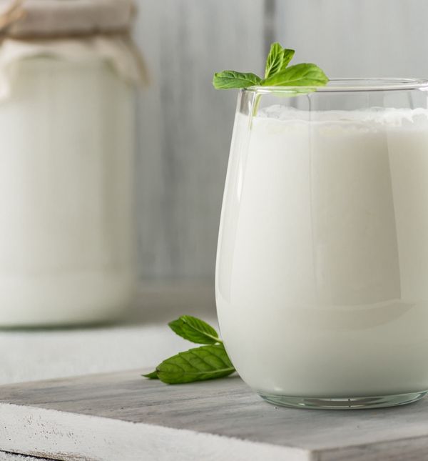 Fermentirani mliječni proizvodi čine čuda za zdravlje