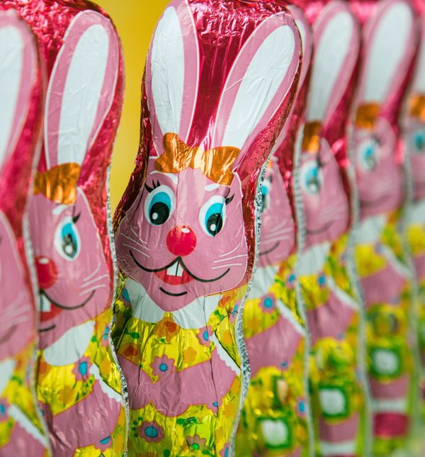 Čokoladni uskrsni zec