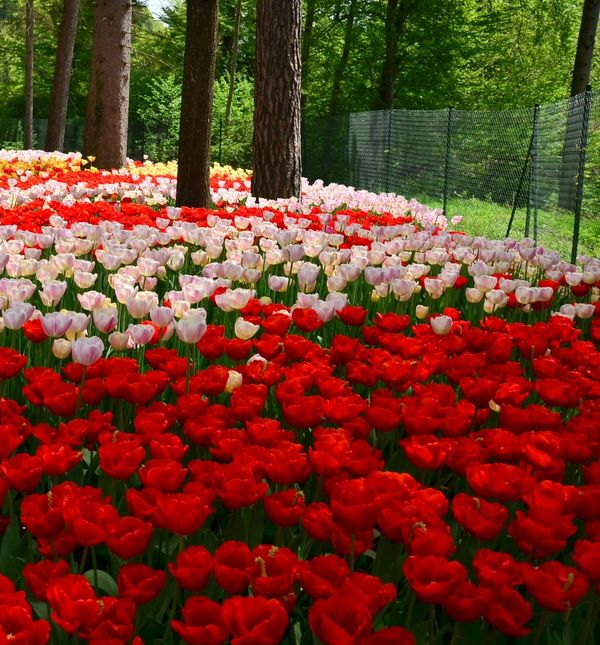 Volčji Potok u Sloveniji