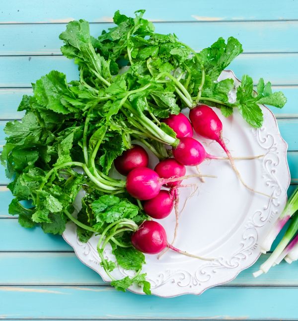 Rotkvice i mladi luk kraljevi su uskrsnog stola
