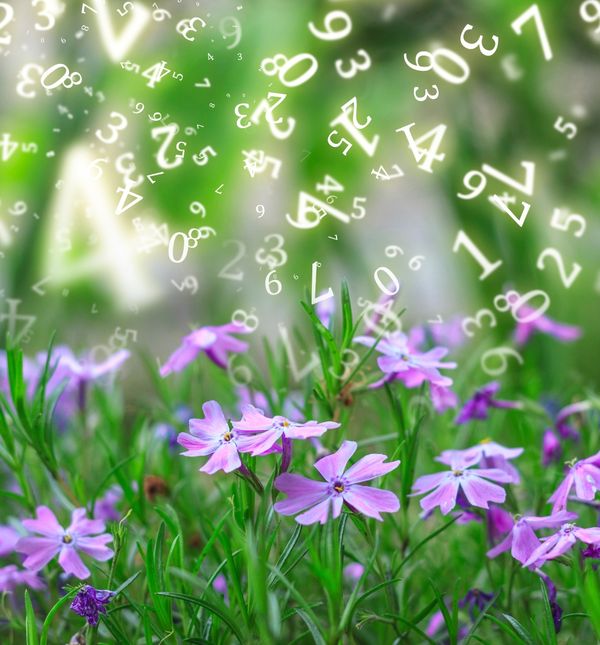 Brojevi u cvijeću