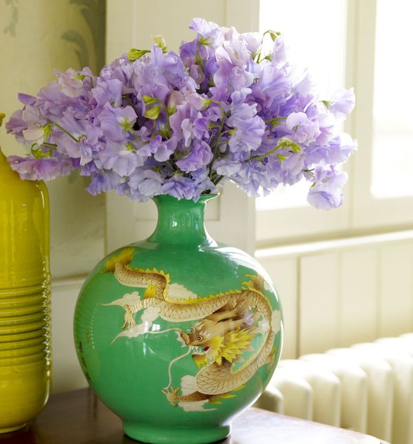 Ova penjačica očarava svojim valovitim cvjetovima, imamo mali trik za njezin brži rast Ova penjačica očarava svojim valovitim cvjetovima, imamo mali trik za njezin brži rast