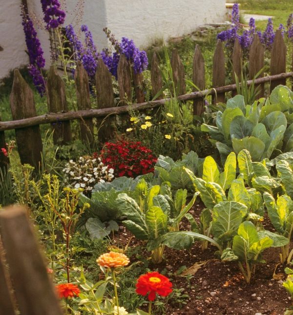 Travanj je idealan mjesec za sadnju