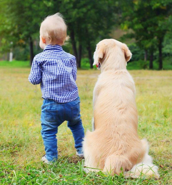 Pet pasmina poznatih kao pseće dadilje, s najmlađima imaju posebnu povezanost Pet pasmina poznatih kao pseće dadilje, s najmlađima imaju posebnu povezanost