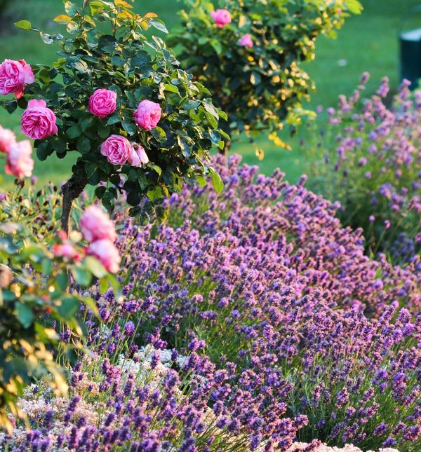 Travanjsko orezivanje je ključno