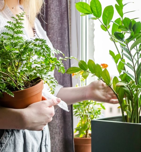 mentalni minimalizam tako je postao odgovor na suvremeni način života