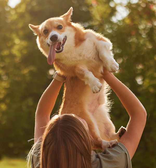 Ljubimci ne traže ništa osim pažnje, nježnosti i prisutnosti; ne osuđuju, ne zamjeraju i ne analiziraju