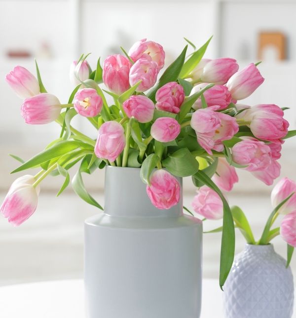 Danas sjedamo u energiju bika