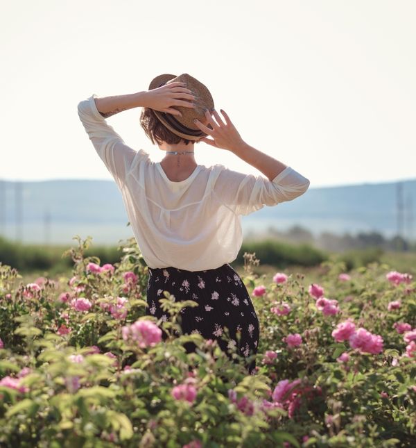 Provjerite što vam donosi sezona bika i na koje znakove najviše utječe
