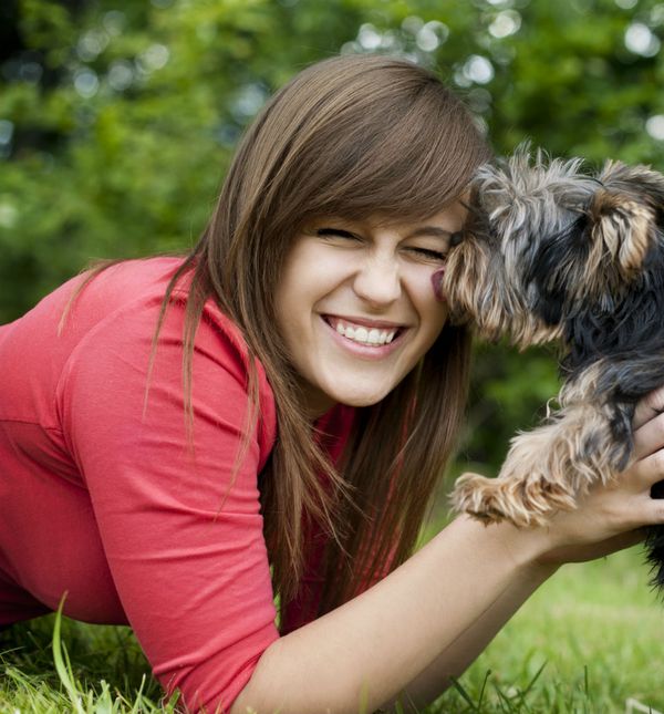 Pseća potreba da čovjeku poliže lice ima vrlo pozitivno značenje