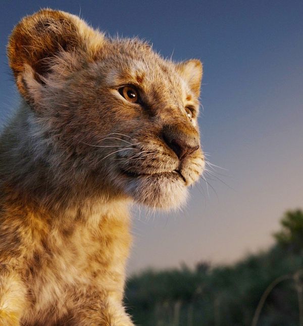 Ljetni praznici savršeni su da svojem djetetu predstavite poruke koje nosi 'Kralj lavova'