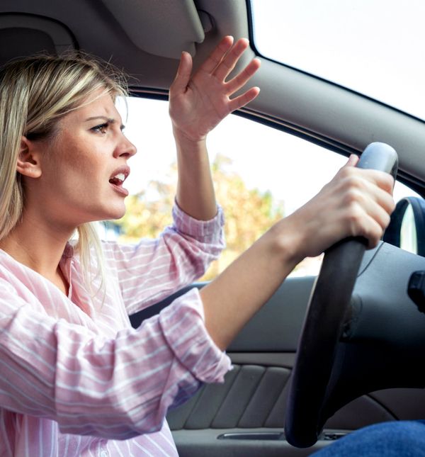 Znate li koji znakovi ne podnose guže u prometu?