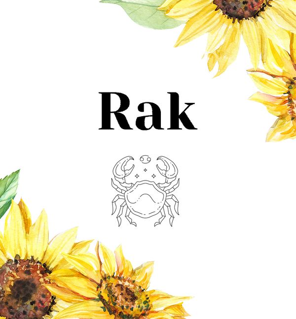 Rak