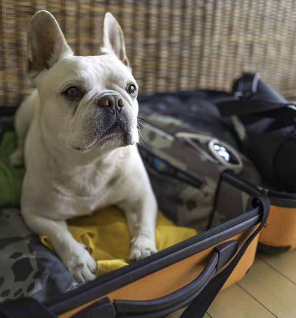 Budite spremni na razne moguće situacije