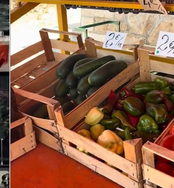 Na štandu se mogu naći domaće voće i povrće, ulje, smokve i prošek