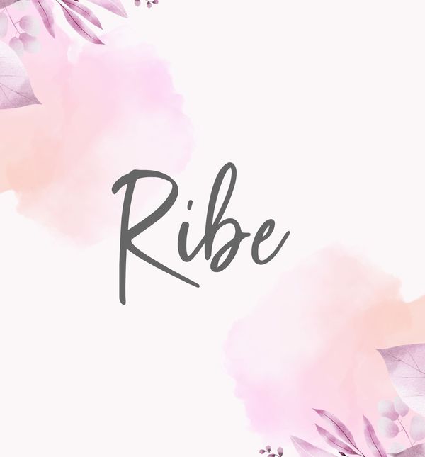 Ribe