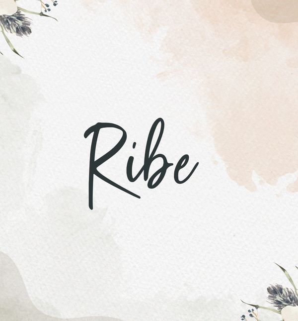 Ribe