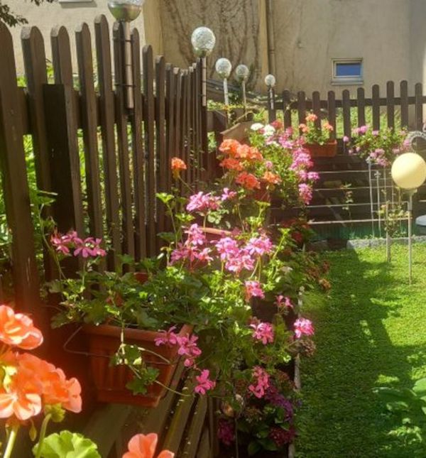 Vrt Nataše Marinković izgleda poput male oaze sreće