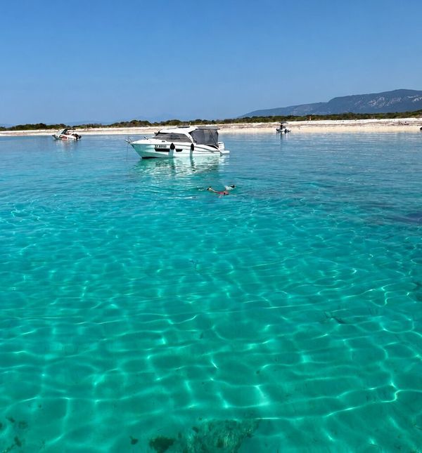 Otok Zeča
