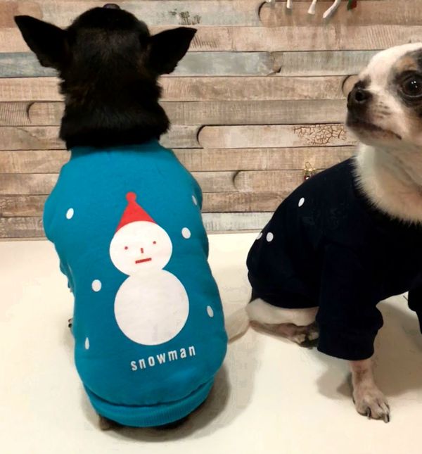 Jaknice za psiće u plavoj i crnoj boji (Foto: Zadovoljna.hr)